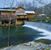 Diane Swope's profile image