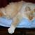 Kathy Berreth's profile image