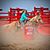 Brandi Shipley's profile image
