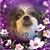 Coleen Hayes's profile image