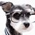 Denise Ross Cranford's profile image