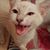 DeAnne H.'s profile image