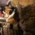 Kathlene R. Fox's profile image