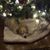 Sally Brocius's profile image
