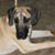 Doug McElyea's profile image