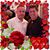 Jose Bocanegra's profile image