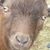 Judy Smith's profile image