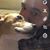 Todd Blevins's profile image