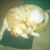 Jennifer Baublitz Dix's profile image