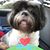 Elena Lustig's profile image