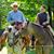 Laurie Lukas's profile image