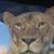Leona Blackwell's profile image