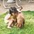 Maria Rojas-Strickland's profile image