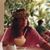 Mary Fleming Amico's profile image