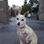 Susanna Cole's profile image