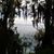 Rhonda Phillips's profile image