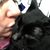 Lindsay Knack's profile image