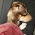 Karen Forti-Ortega's profile image