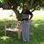 Janie Lancaster's profile image