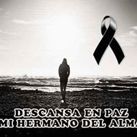 Julia Torres's profile image