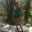 Dawn C's profile image