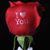 Celena G Farah's profile image