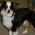 Susie Hartgraves's profile image