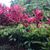 Ltanya Portlock's profile image