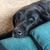 Danelle Pint-Krull's profile image