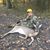 Shelia Burroughs's profile image