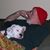 Norm Campbell's profile image