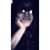 Maria Bonilla's profile image