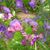 Kate Abbe's profile image