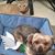 Karyl Stratton's profile image
