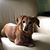 John Mello's profile image