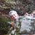 Renee Smalley's profile image