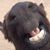 Timothy James Hanson's profile image