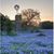 Pat Osborn Stamps's profile image