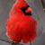 Ruth Farmer's profile image