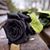 Shannon Rico Herrada's profile image