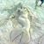 Arlene Smith Capriotti's profile image
