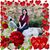 Monica Hernandez's profile image