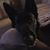 Nancy Johnson's profile image