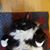 Ann M. Hession's profile image