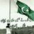 Nighat Habib's profile image