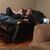 Kerry Berelsman Henne's profile image