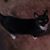 Marge Heinemann's profile image