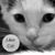 Katie Cruel's profile image