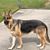Karen Yenser Suggs's profile image