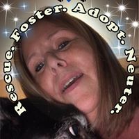 Terry Folk's profile image